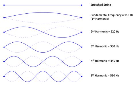 What is High Frequency Music? A Symphony of Sound and Science